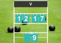 Lawn Bowls Rink Scoreboard Replacement Numbers