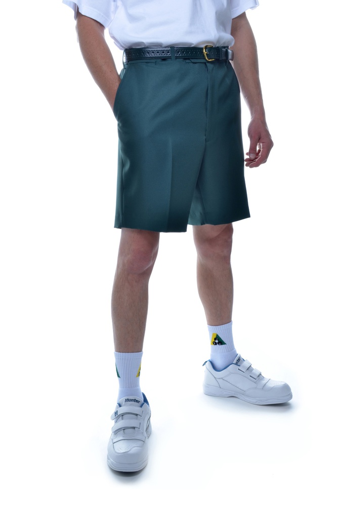 Flexi Waist Shorts